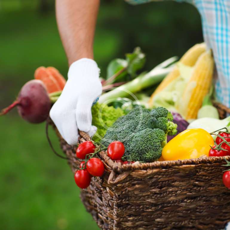 Nutrition Balance