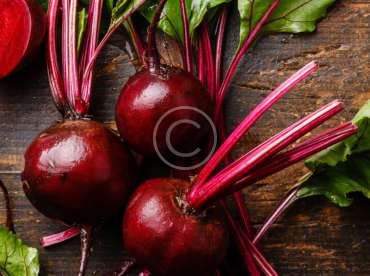Master Veg Classes