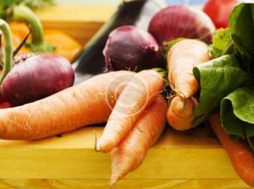 Get Tons of Recipes